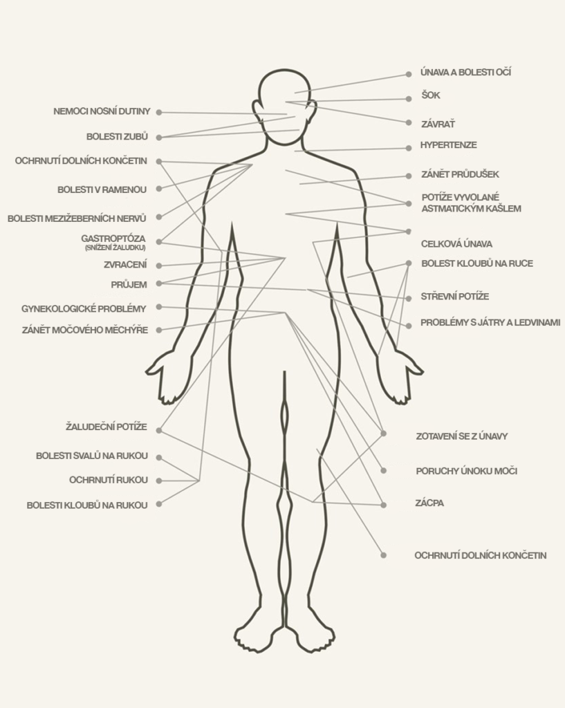 Reflexní body na těle podle mecicíny Jamu. Kutus Kutus Česká republika.